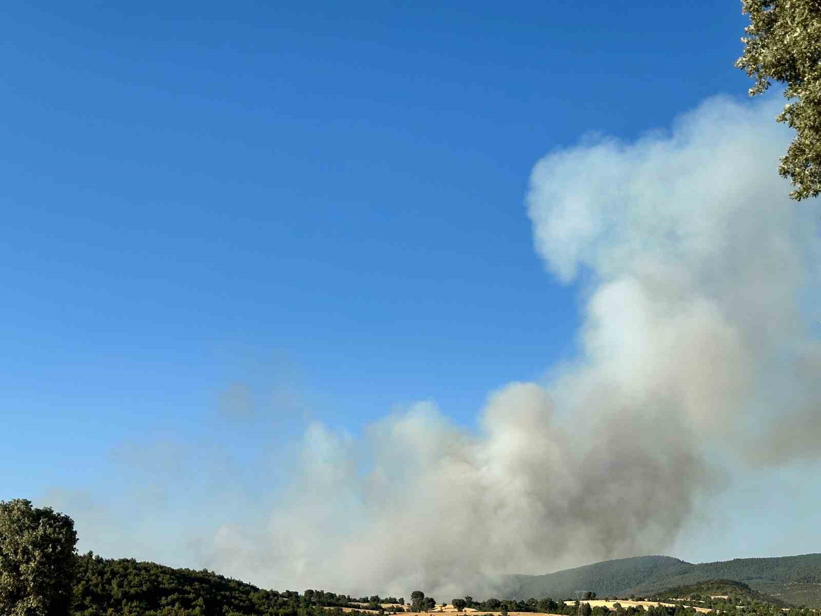 Uşak&rsquo;ta iki ayrı noktada yangın
