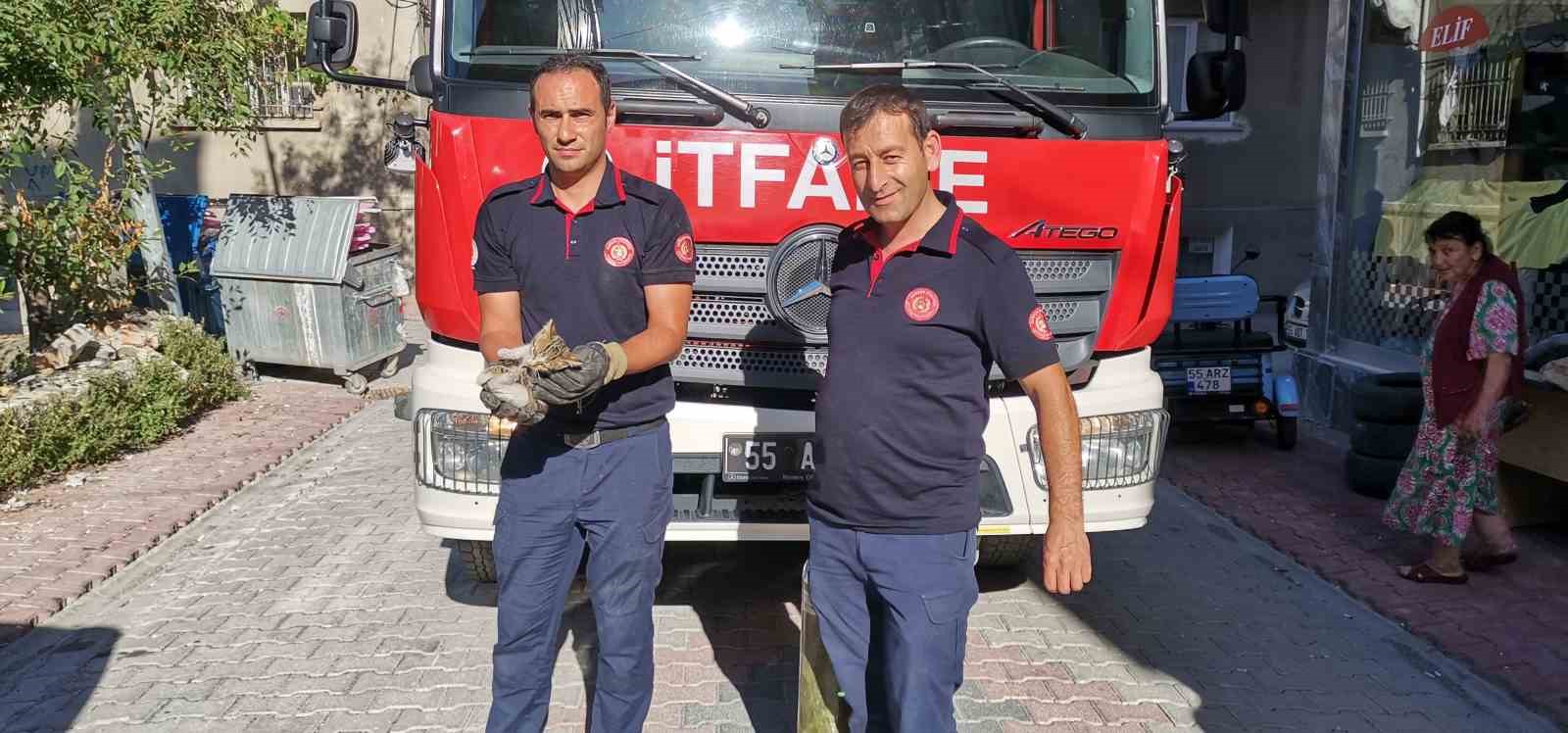 İtfaiye ekiplerinden yavru kedi kurtarma operasyonu