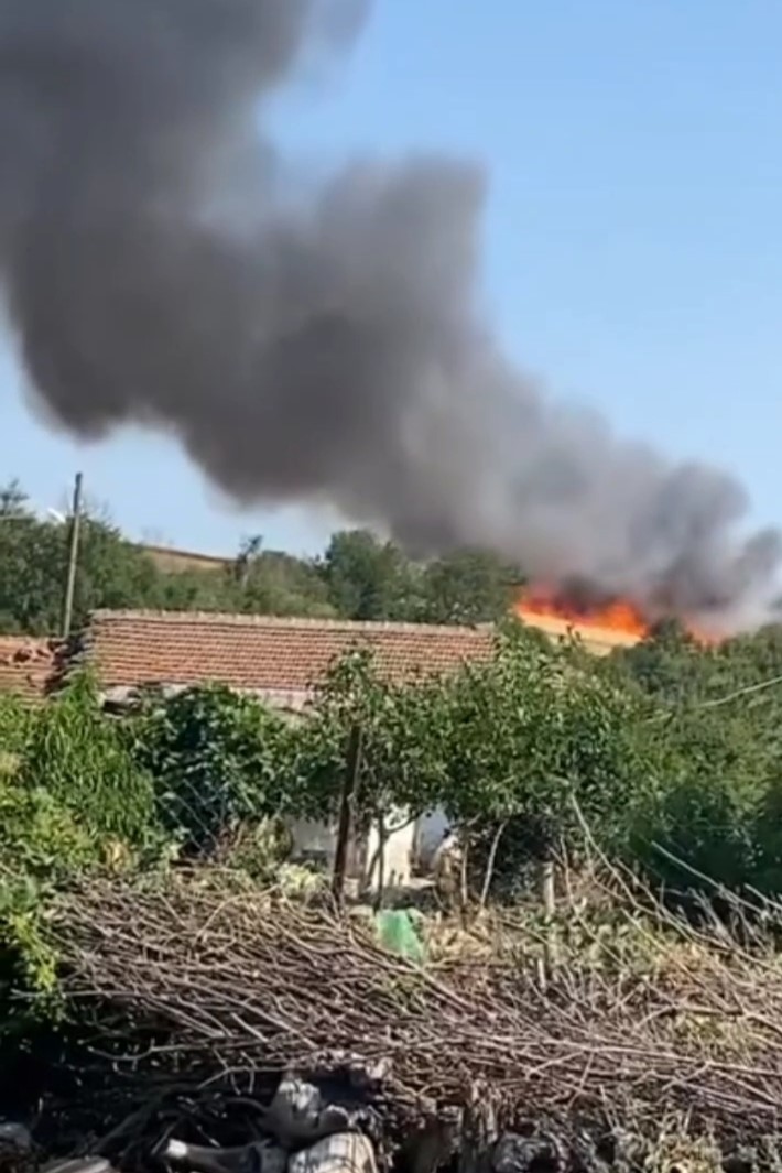 Yerleşim yerine yaklaşan alevler korkuttu
