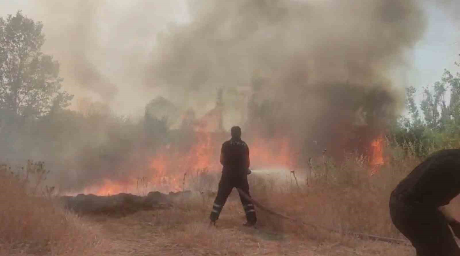 Anız yangını ağaçlık alana sıçradı