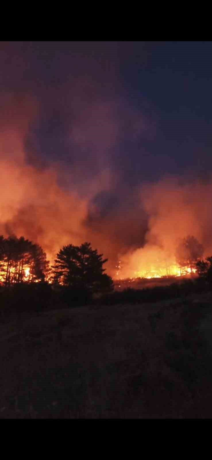 Sındırgı&rsquo;da yangınla m&uuml;cadele s&uuml;r&uuml;yor
