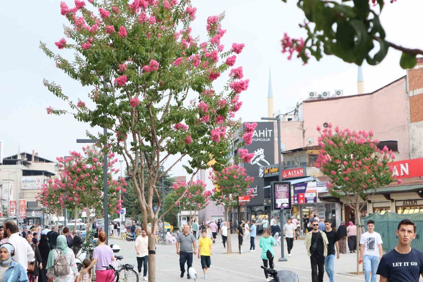 D&uuml;zce&rsquo;de kişi başına 29 metrekare yeşil alan d&uuml;ş&uuml;yor
