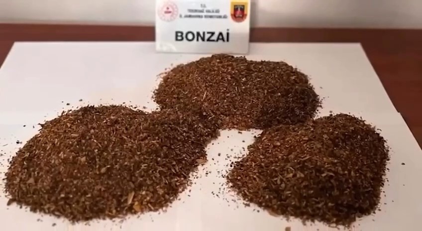 "Narkokapan-Tekirdağ" operasyonlarında 65 şüpheli yakalandı