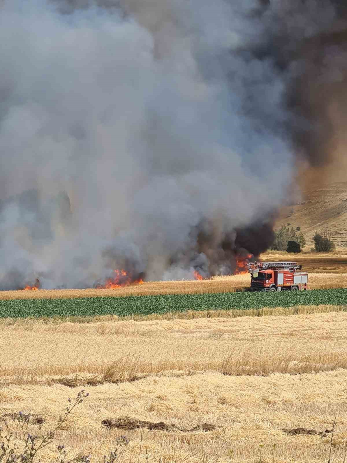 Kütahya’daki tarla yangınında yaklaşık 800 dekarlık hububat ekili alan kül oldu