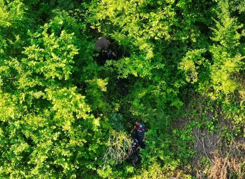 Artvin’de kaçak göçmenler ormanlık alanda yakalandı