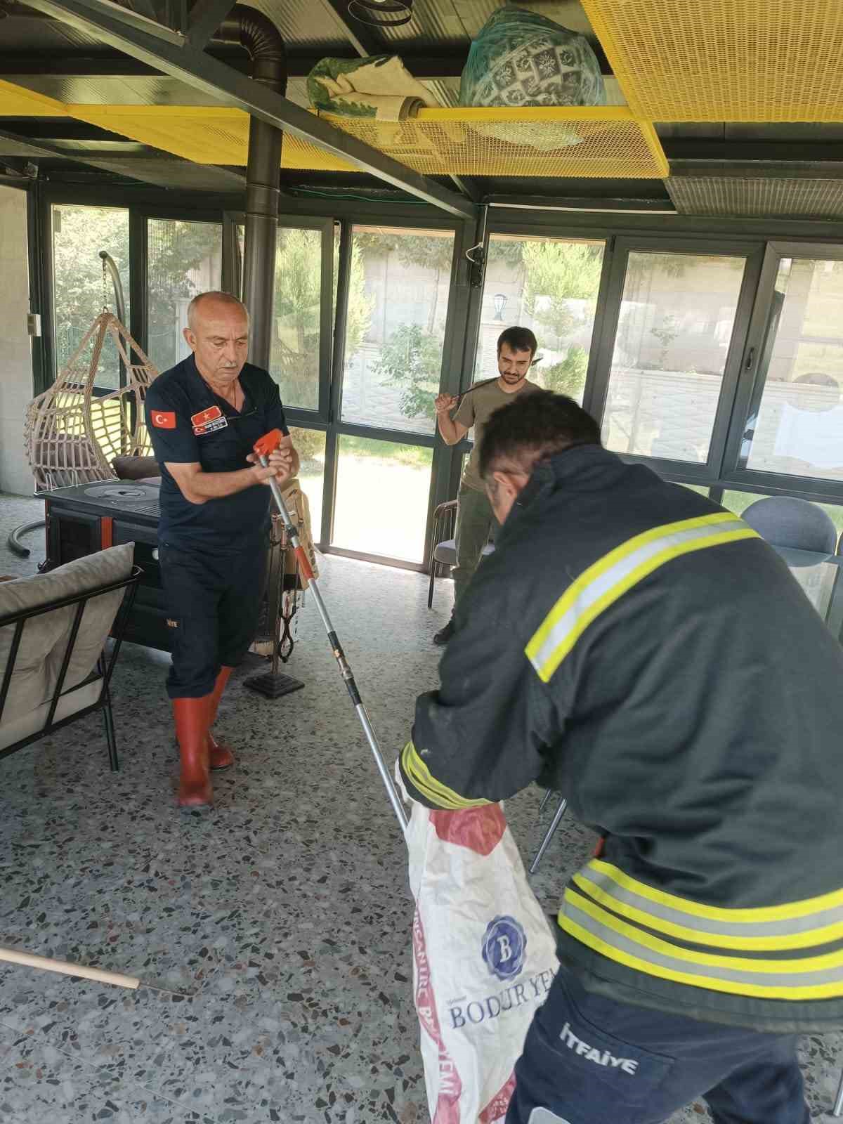 Afyonkarahisar’da yılan paniği