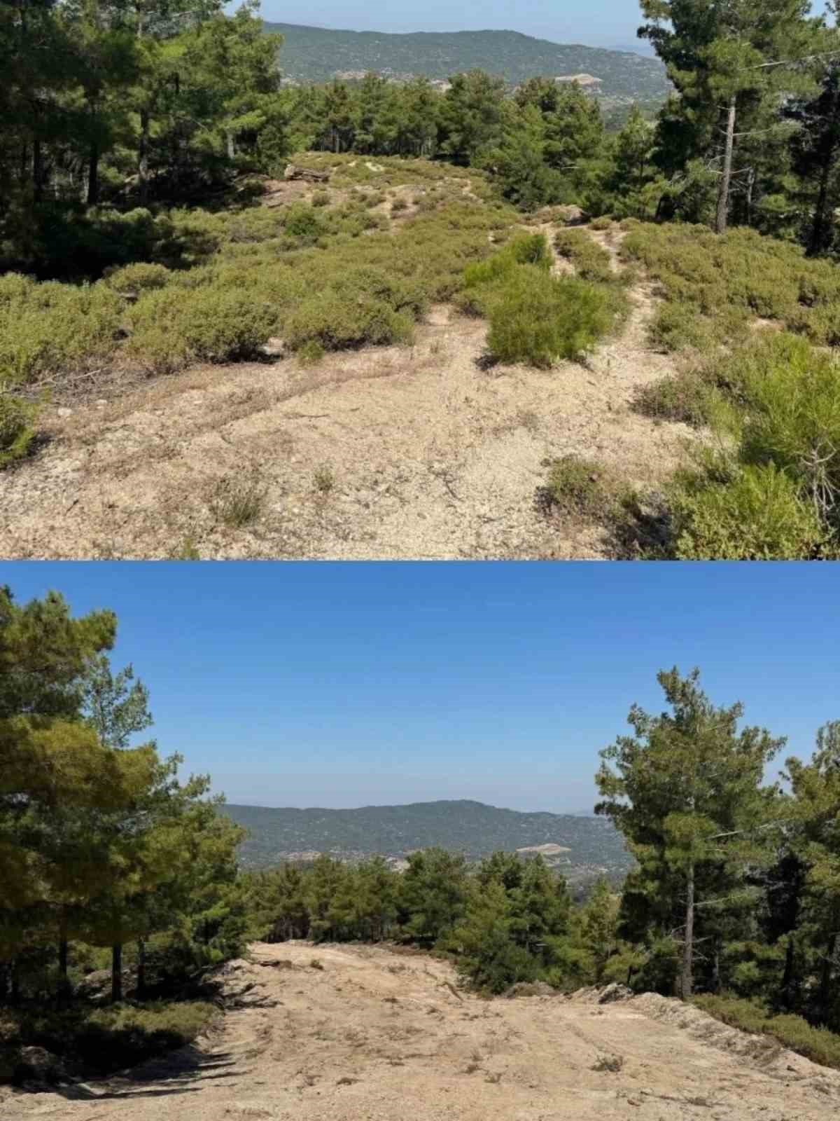 &Ccedil;ine&rsquo;de orman yangınlarına karşı &ouml;nleyici temizlik &ccedil;alışması yapıldı
