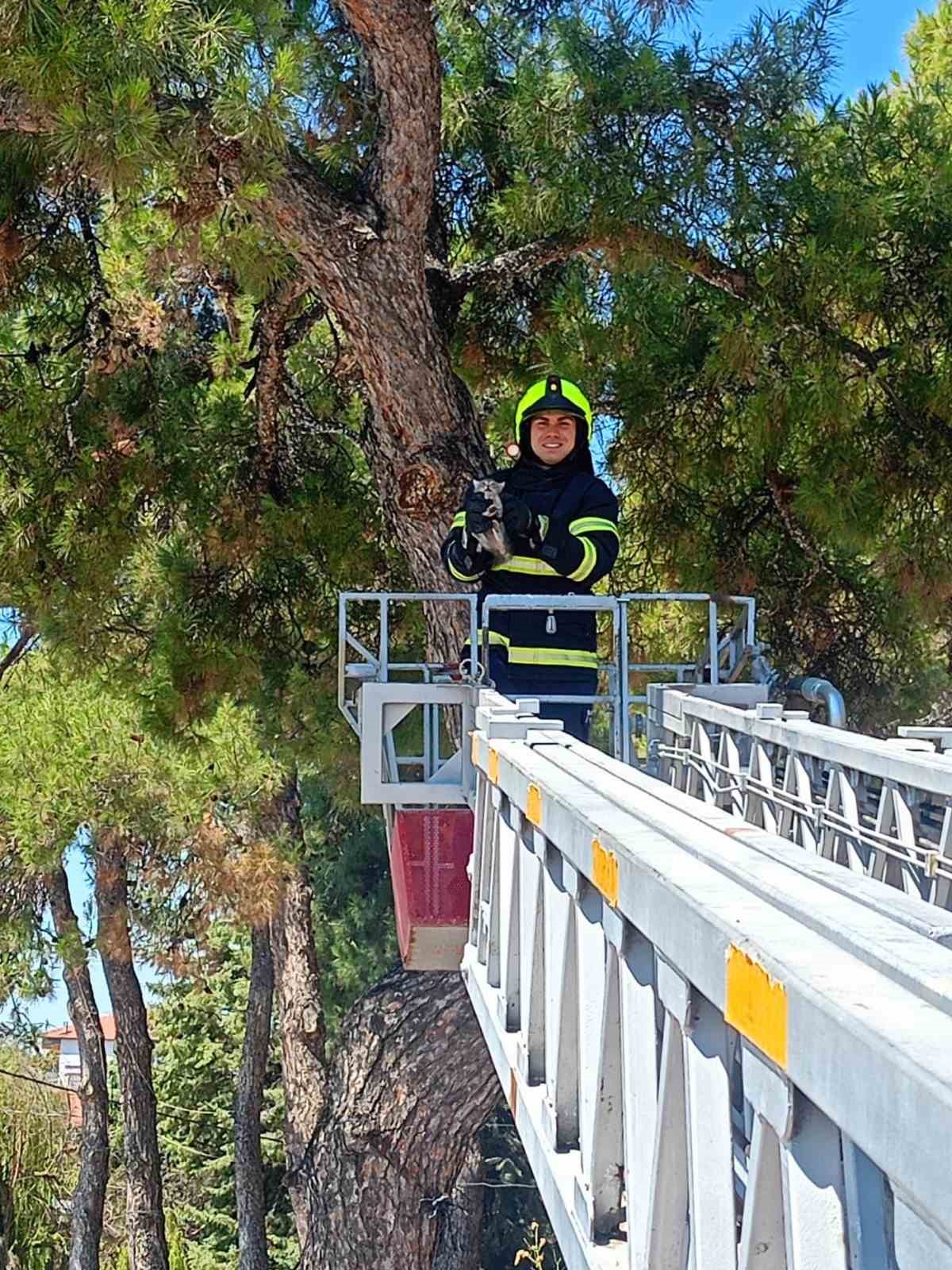 Balıkesir itfaiyesinden kedi kurtarma operasyonu