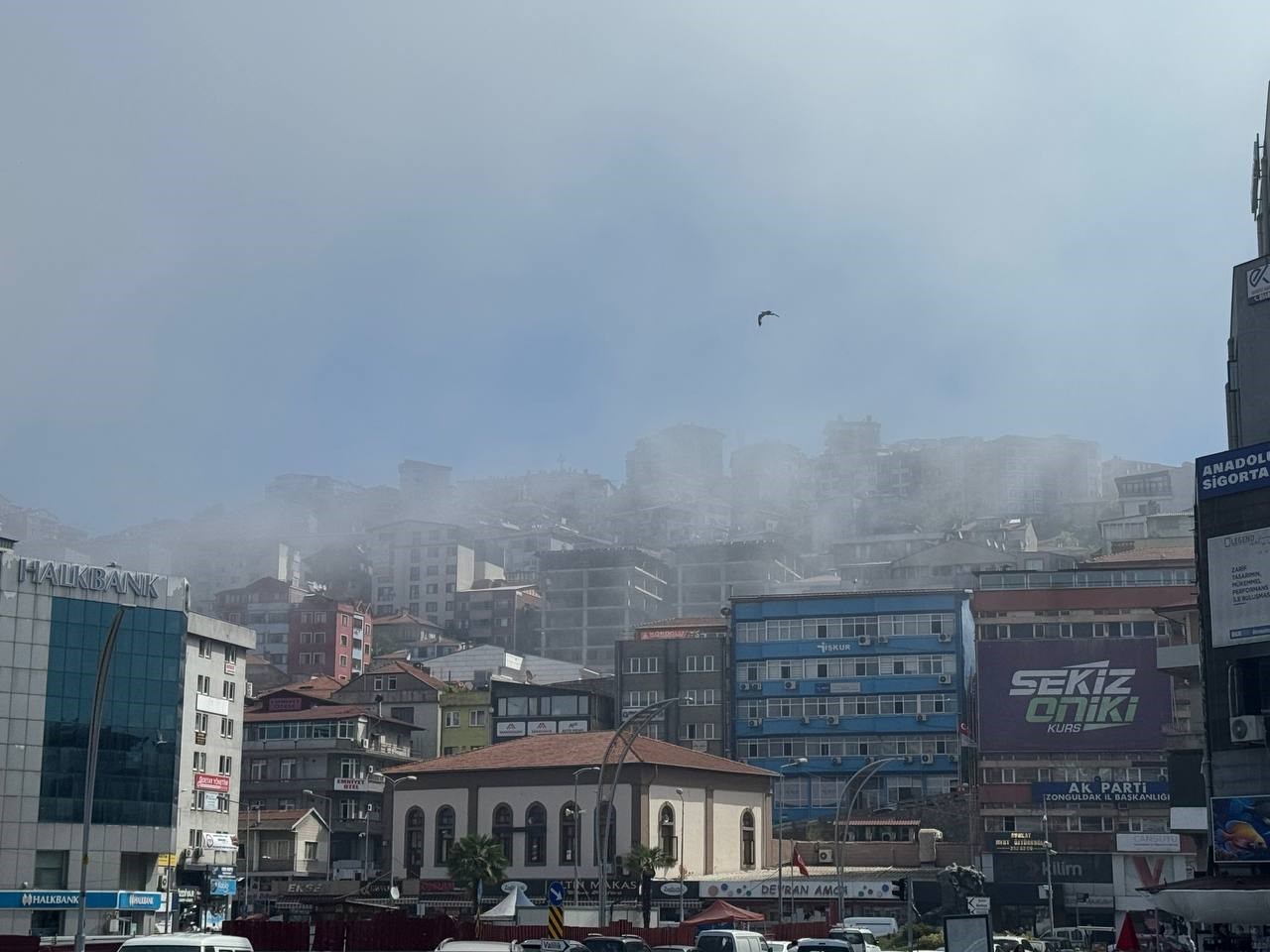 Zonguldak’ta soğuk hava kenti beyaza bürüdü