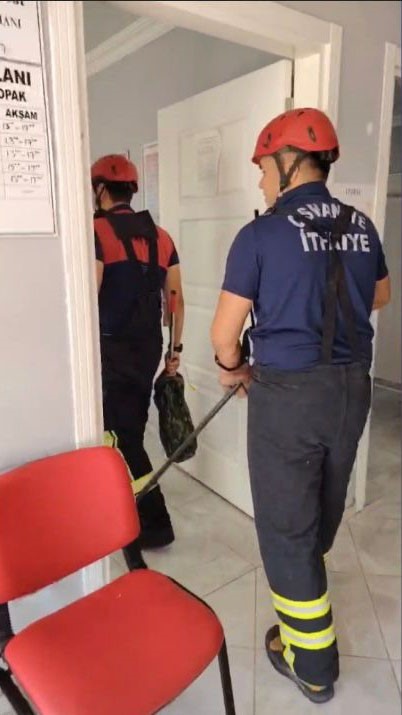 Osmaniye’de aile sağlığı merkezine giren yılan paniğe neden oldu