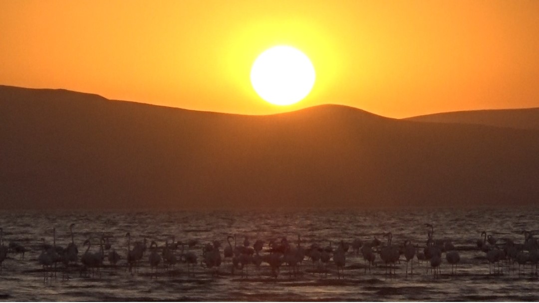 Erçek Gölü’nde kızıllığa bürünmüş gün batımı büyüledi