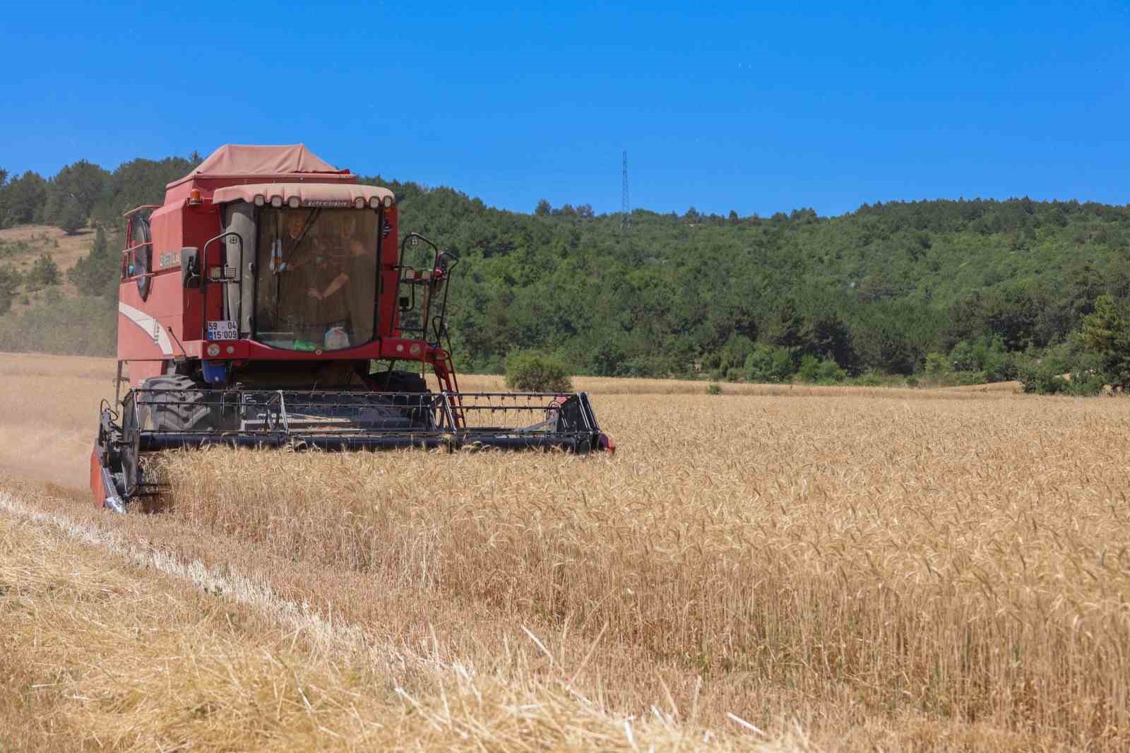 Bilecik’te bu yıl 75 bin 104 ton buğday hasadı yapılacak