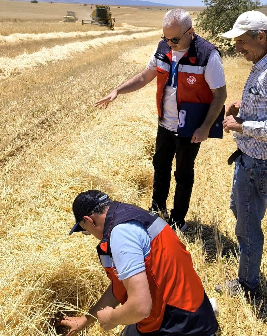 Altıntaş&rsquo;ta bi&ccedil;erd&ouml;ver hasat kontrolleri
