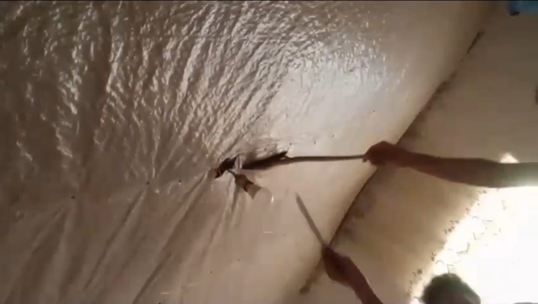 Hakkari&rsquo;de toprak evin tavanına yuva yapan yılanlar doğaya salındı
