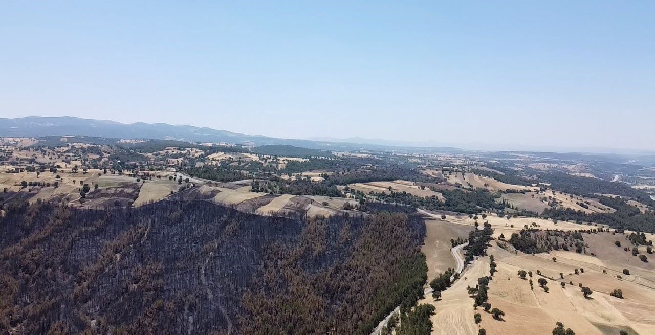 Gediz’de yangından etkilenen alanlar tespit edildi