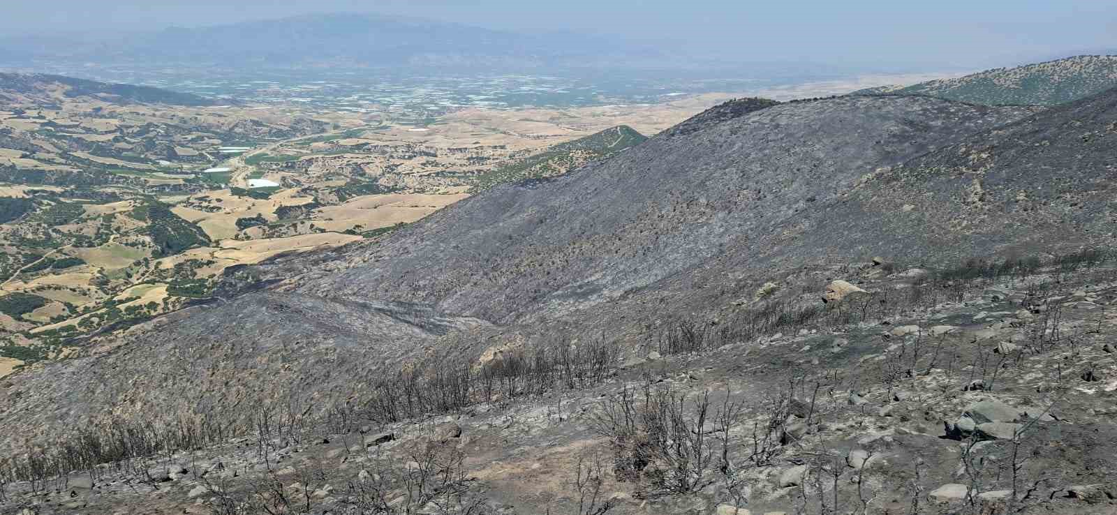 Yangından geriye küle dönen evler ve tarlalar kaldı