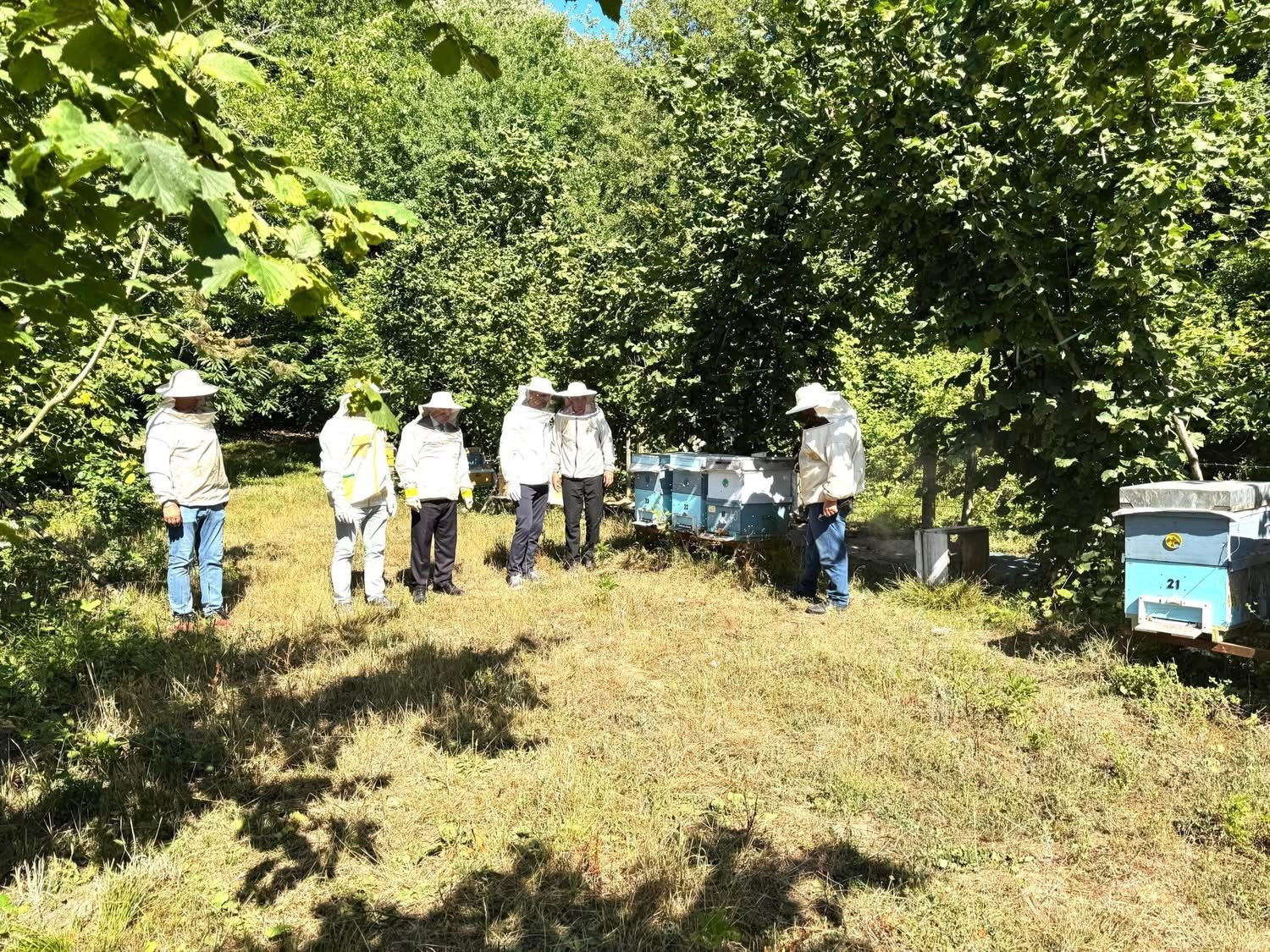 Kestane balı hasadı &Ccedil;aycuma&rsquo;da ger&ccedil;ekleştirildi
