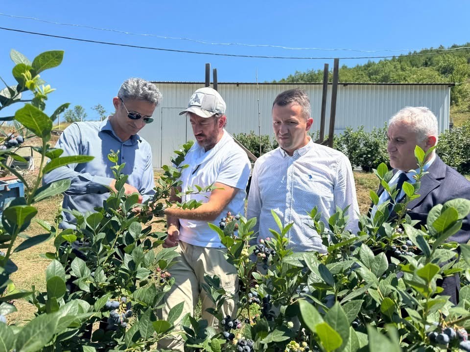 Kaymakam Kaya’dan yaban Mersini üretim tesisine ziyaret