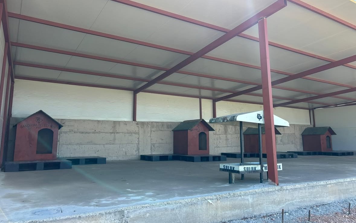 Bandırma Belediyesi&rsquo;nden sokak hayvanlarına doğal yaşam alanı
