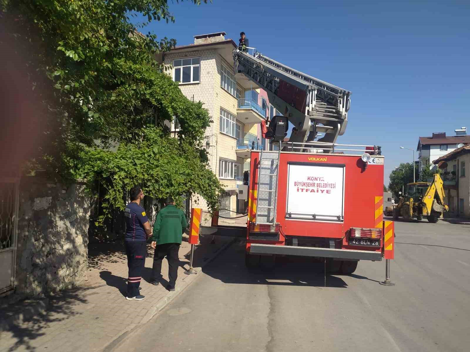 Beyşehir’de itfaiyenin kedi kurtarma seferberliği