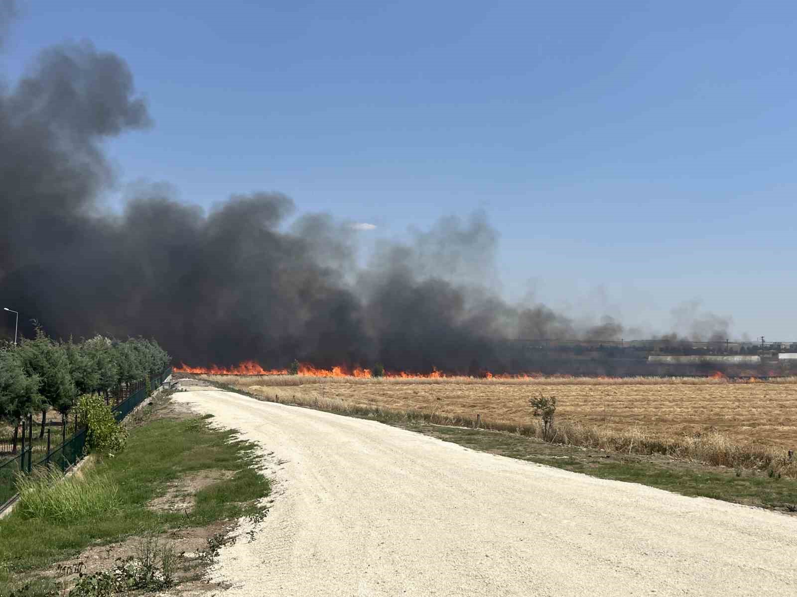 Tekirdağ’da çıkan tarla yangını söndürüldü
