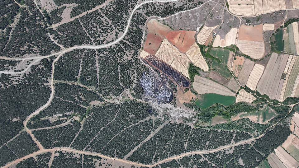 Tarlada &ccedil;ıkan yangın ormana sı&ccedil;radı: 6 dekar alan zarar g&ouml;rd&uuml;
