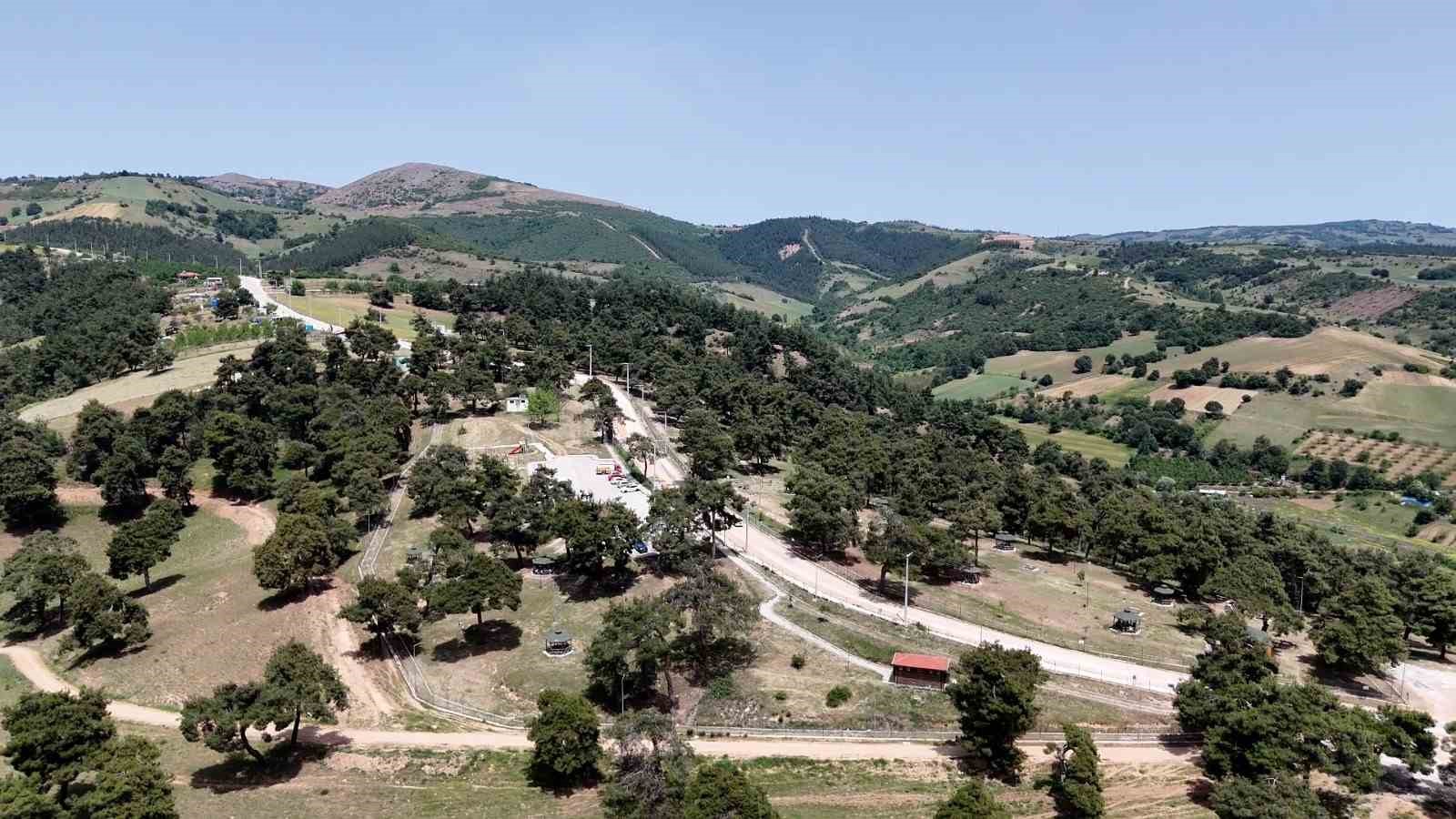 Başkan Ercan Özel: "Gönül rahatlığıyla Kozdere Çamlığı’nda piknik yapılabilir