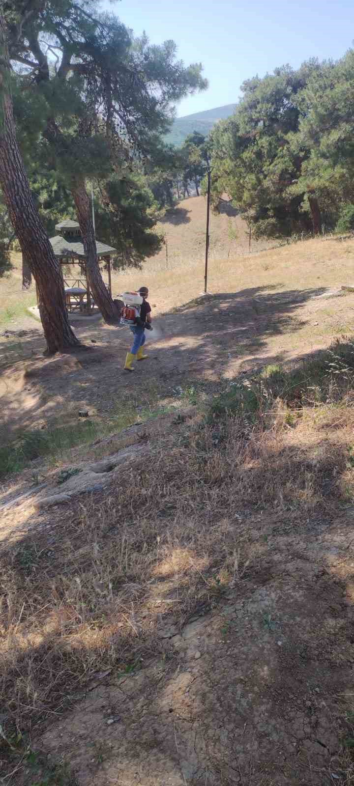 Başkan Ercan &Ouml;zel: "G&ouml;n&uuml;l rahatlığıyla Kozdere &Ccedil;amlığı&rsquo;nda piknik yapılabilir
