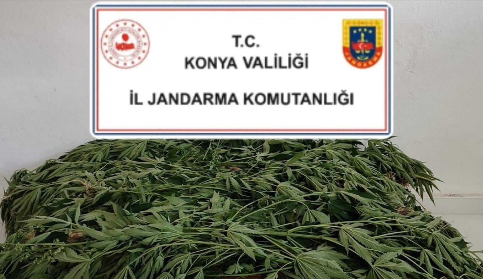 Konya&rsquo;da jandarmadan uyuşturucu operasyonları
