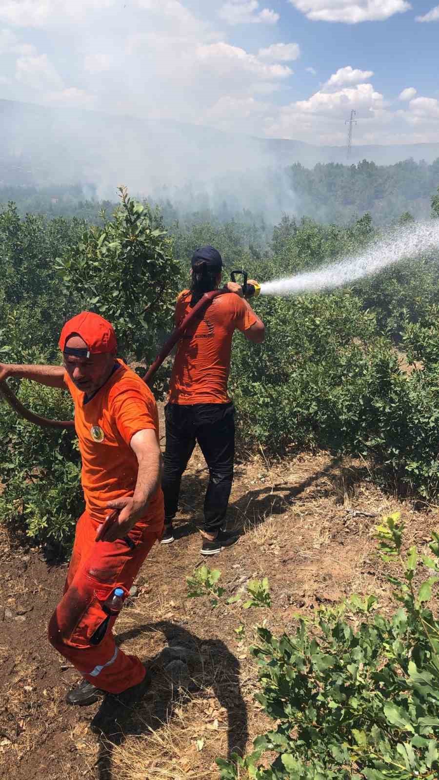 Bingöl’deki orman yangını kontrol altına alındı