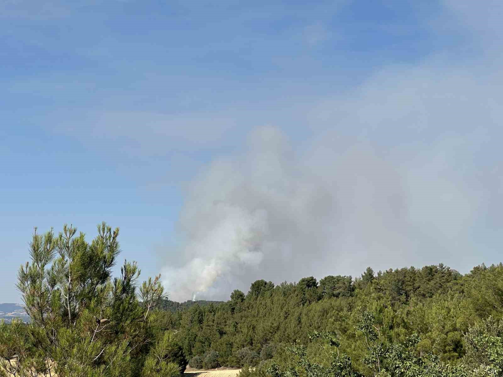Uşak’ta tarım arazisinde çıkan yangın ormanlık alana sıçradı