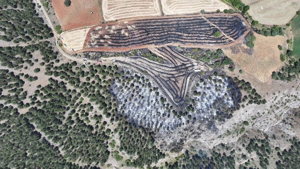 Başkan Arslan’dan yangın açıklaması