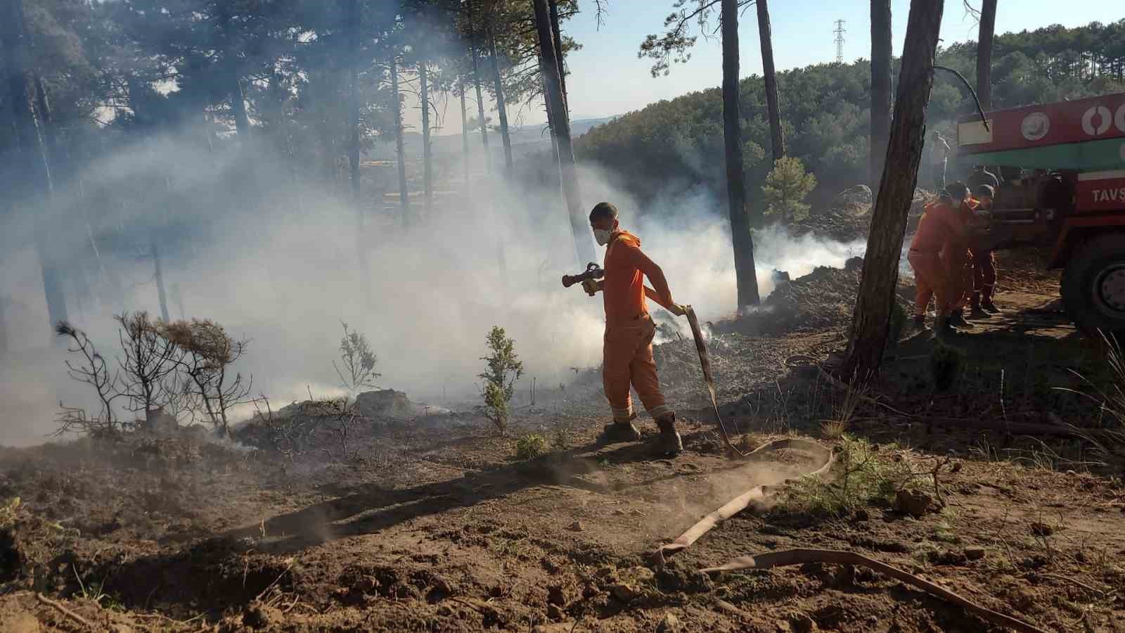 Kütahya’da orman yangını
