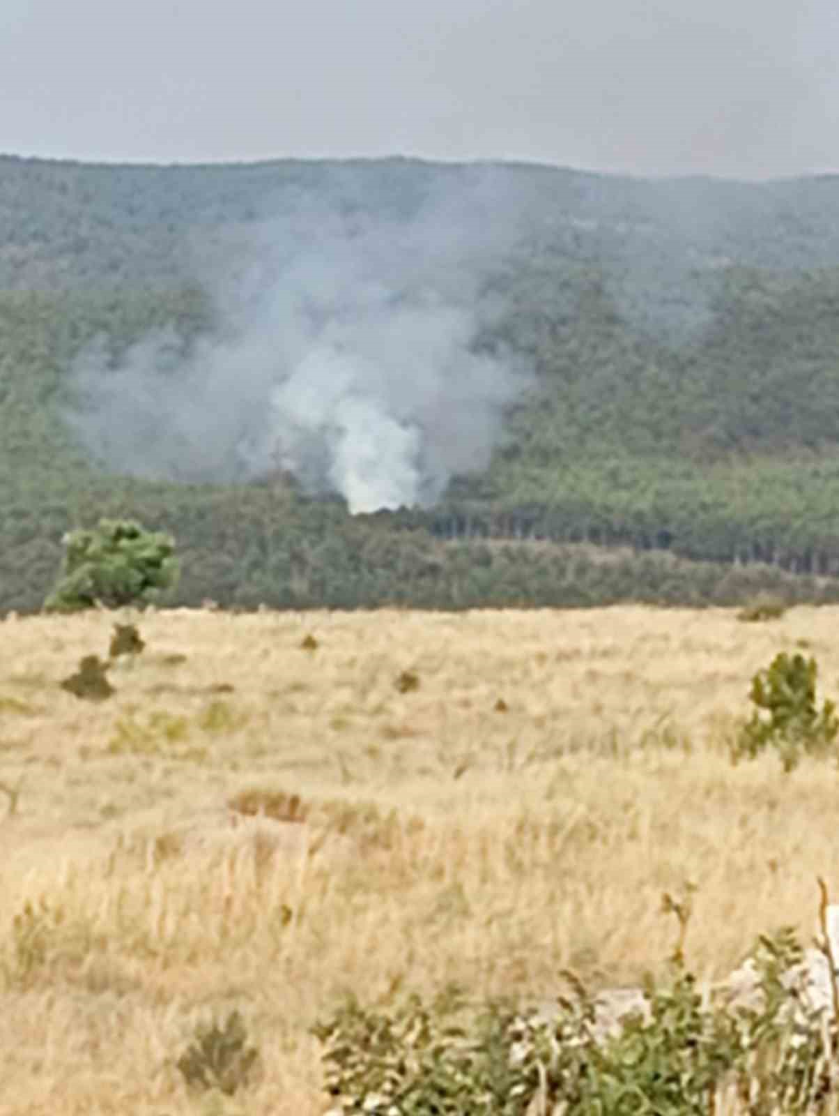 K&uuml;tahya&rsquo;da orman yangını
