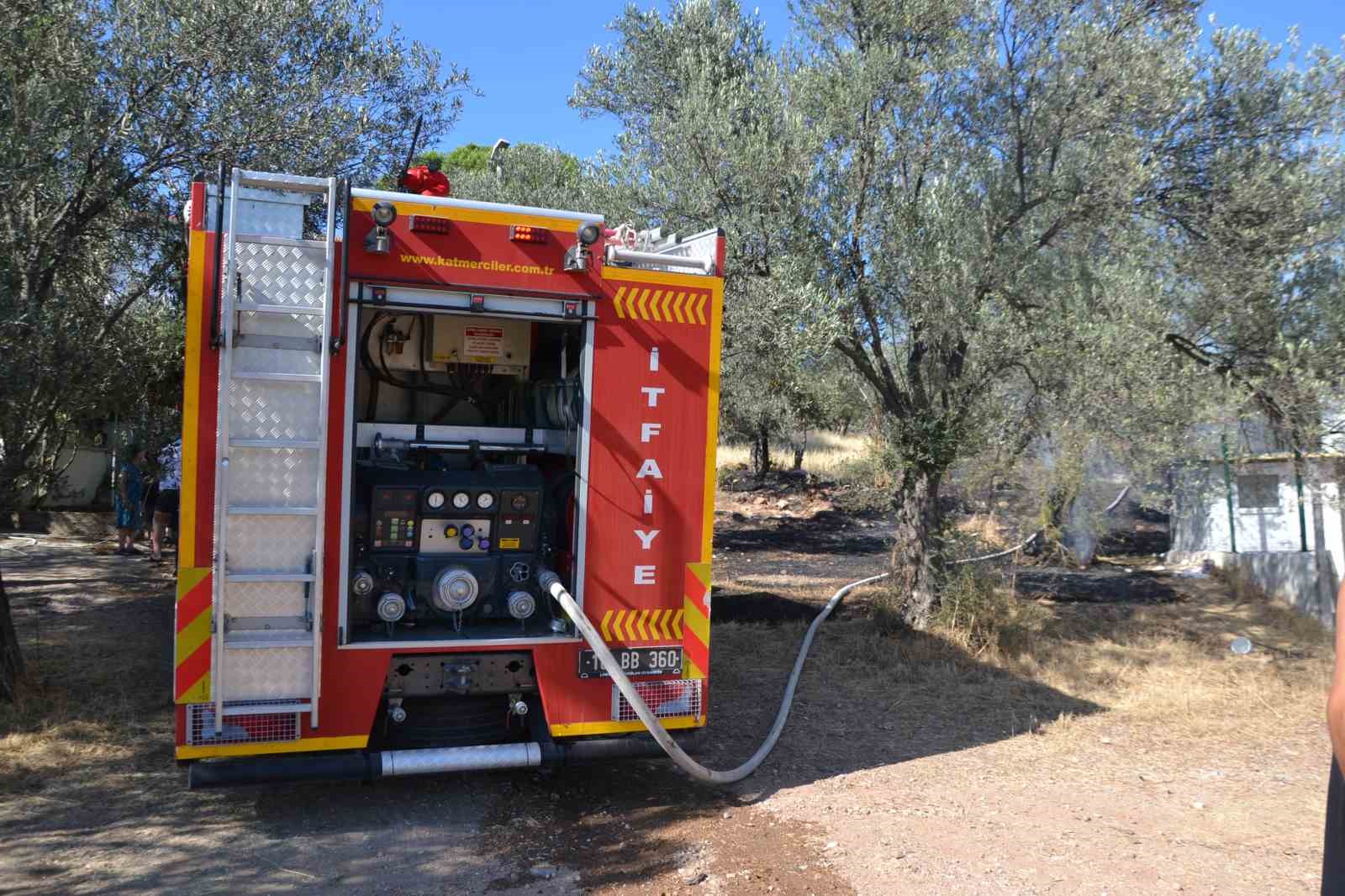 Ayvalık&rsquo;ta yerleşim sitesinin yanında zeytinlik yangını
