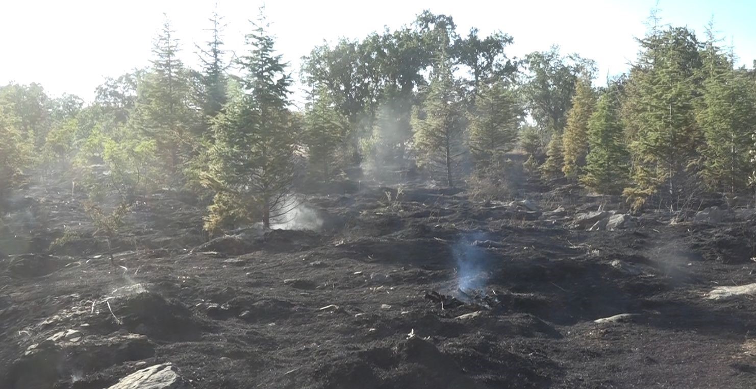 Kırklareli’nin Yündalan köyündeki orman yangını kontrol altına alındı