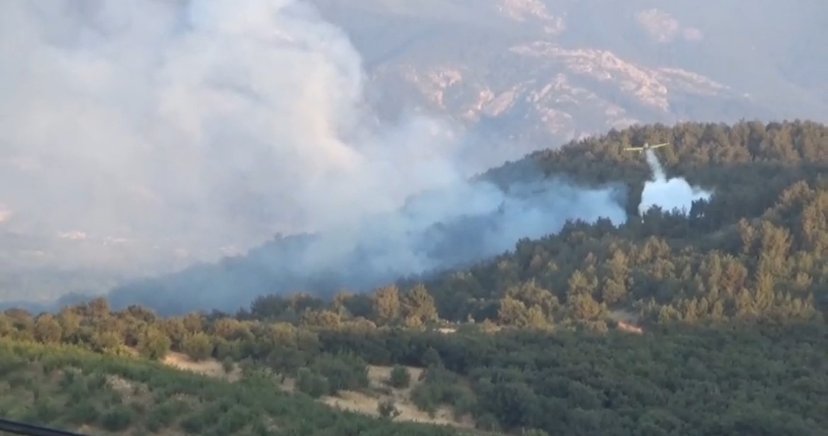 Bayramiç’te orman yangını