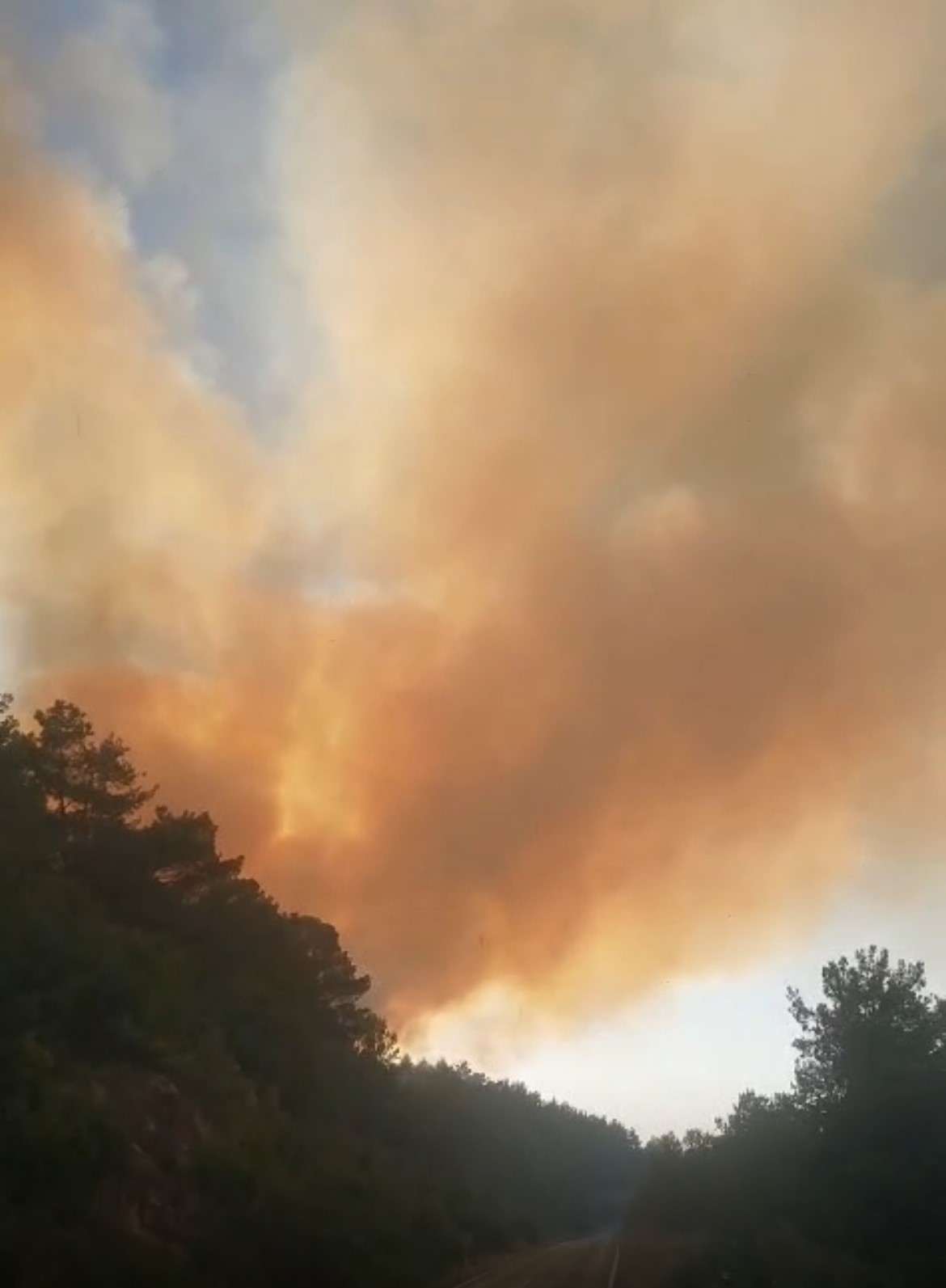 Bayrami&ccedil;&rsquo;te orman yangını
