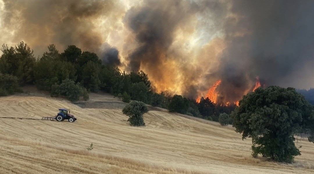 Kütahya-Uşak sınırındaki orman yangını kontrol altına alındı