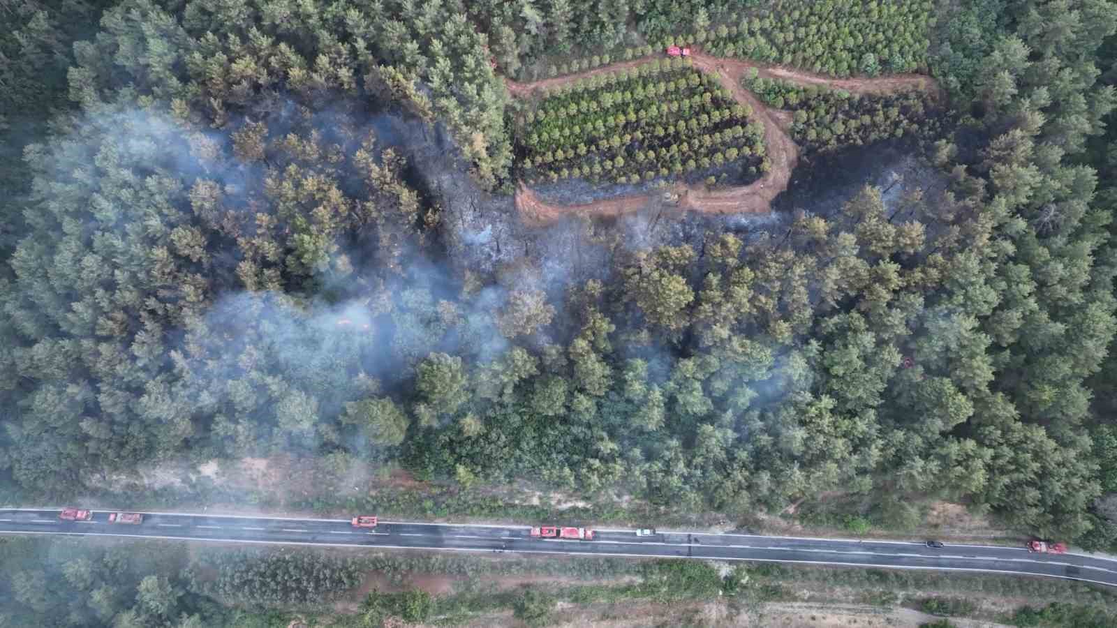 Bayramiç’teki orman yangını kontrol altına alındı