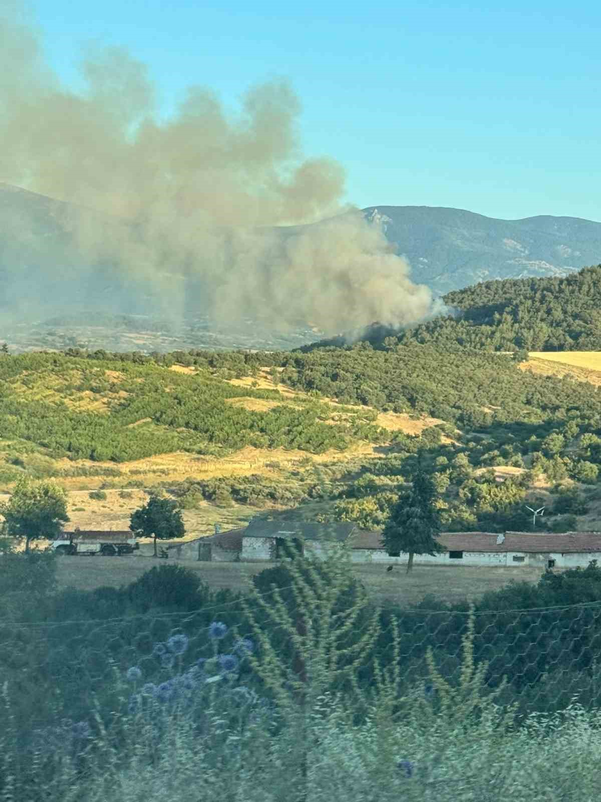 Bayramiç’teki orman yangını kontrol altına alındı