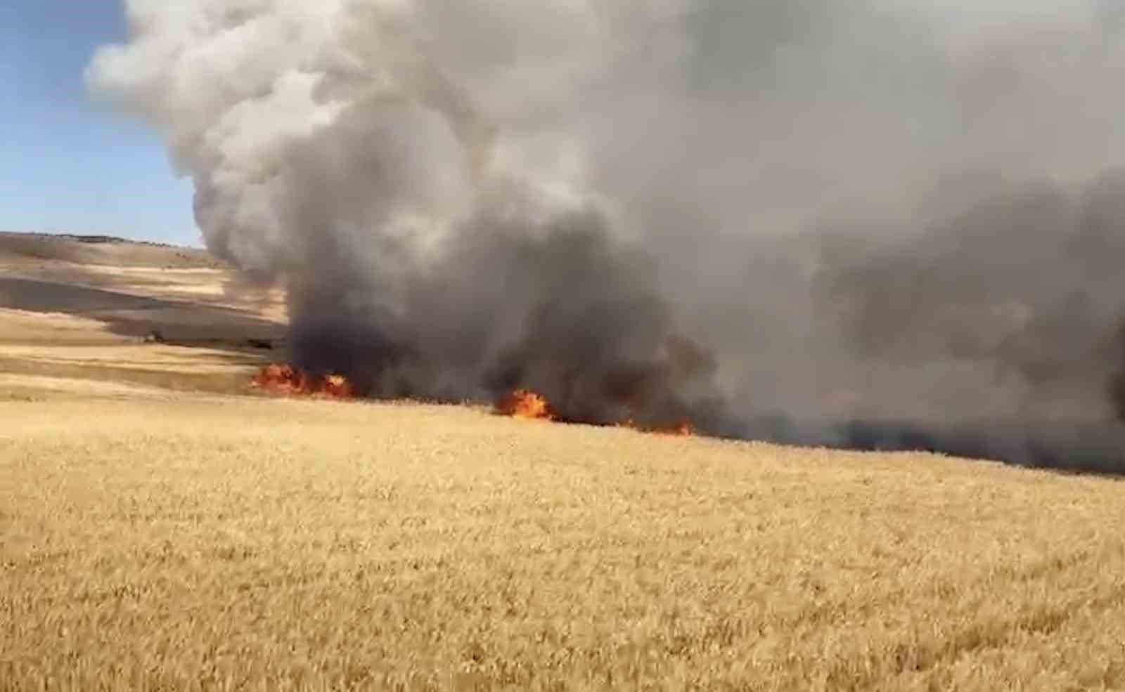 &Ccedil;orum&rsquo;da &ccedil;ıkan yangında 3 bin dekar buğday tarlası zarar g&ouml;rd&uuml;
