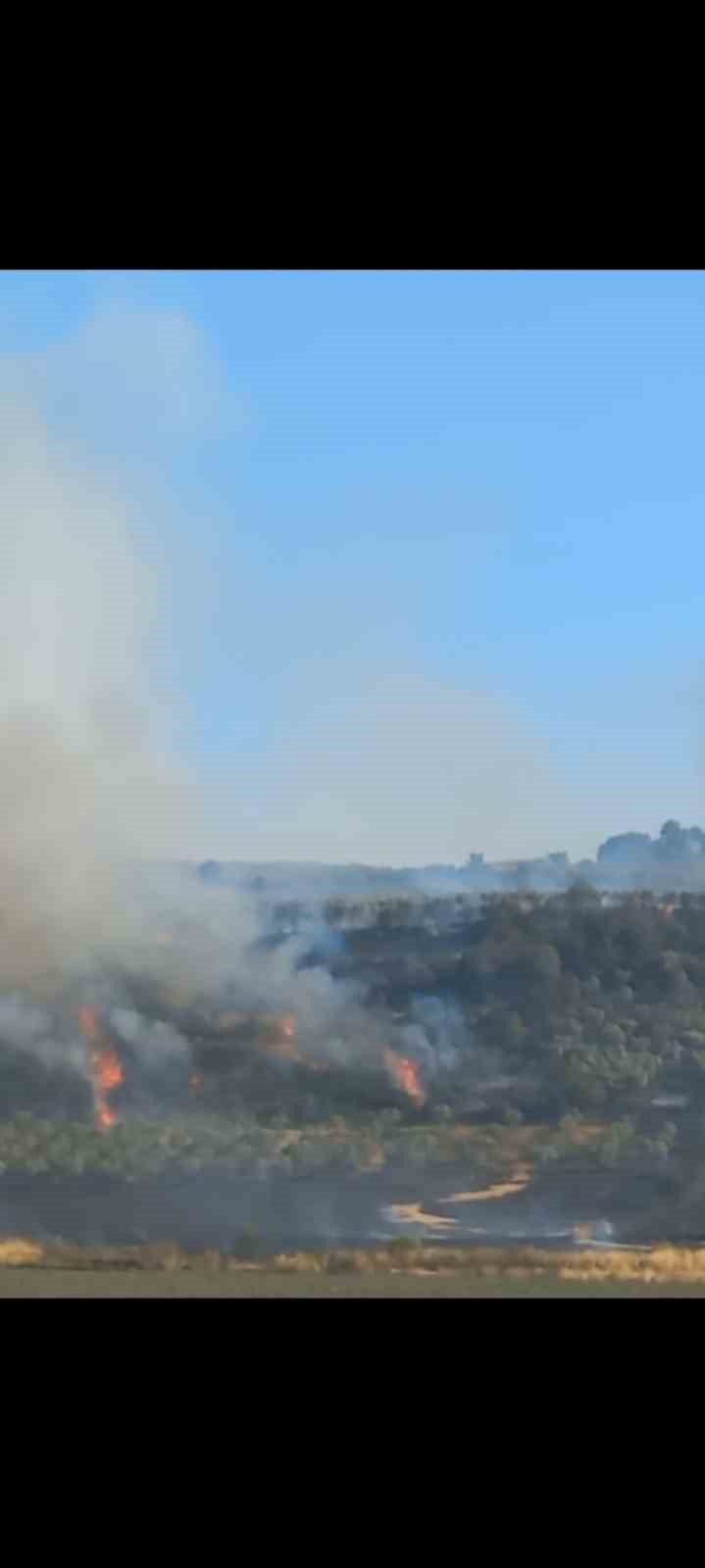Bandırma&rsquo;da farklı noktalarda &ccedil;ıkan yangınlar s&ouml;nd&uuml;r&uuml;ld&uuml;

