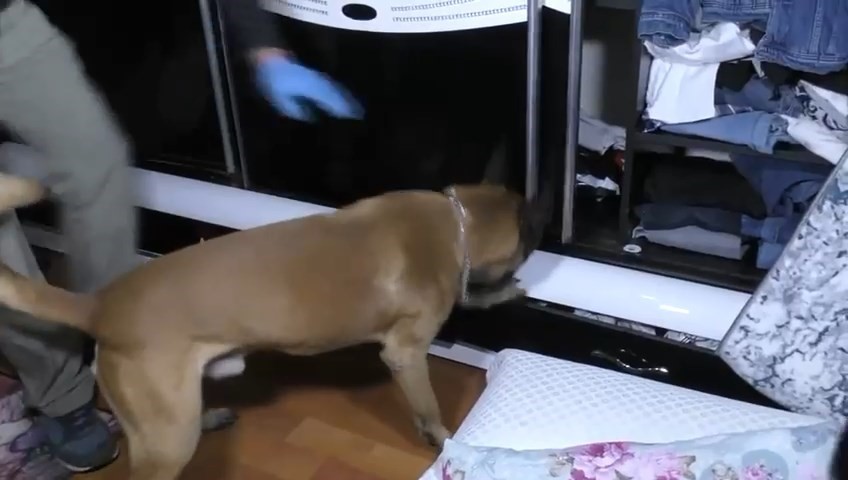 21 ilde dev operasyon: 318 adrese baskın, 304 torbacı yakalandı