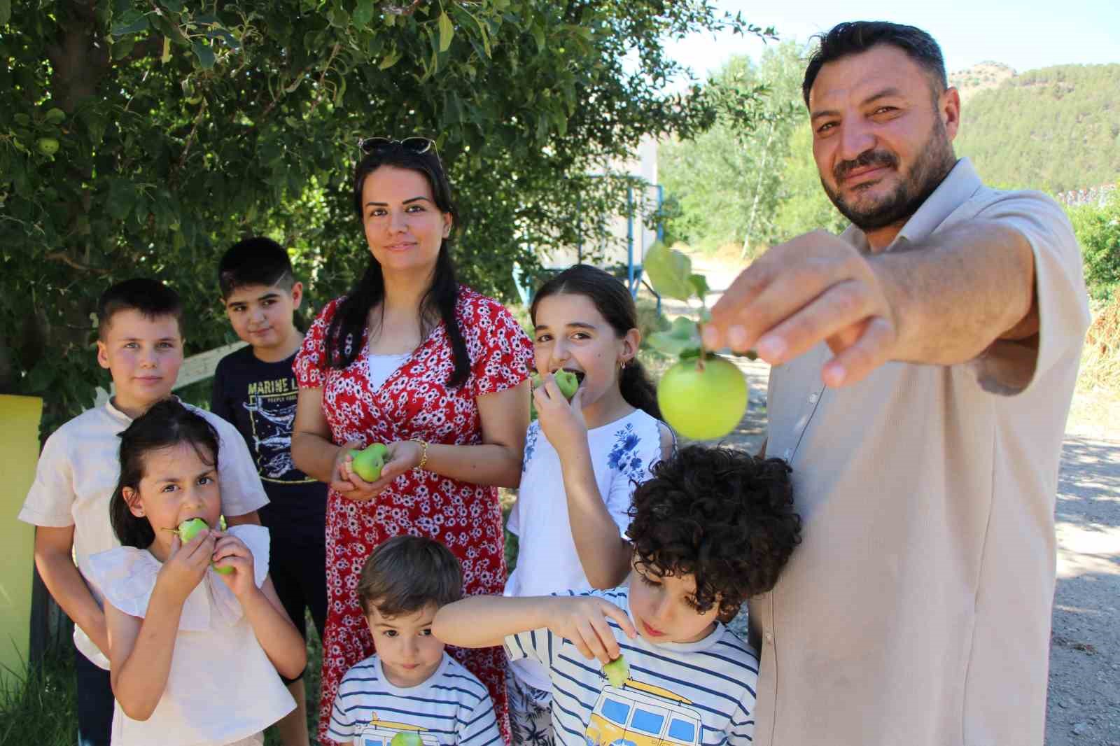 Don felaketinden korunan elmaları satmayıp bahçesine gelenlere ikram ediyor