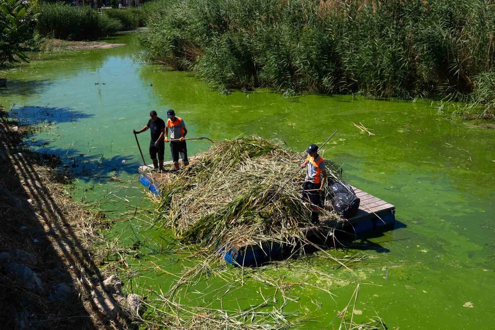 G&ouml;lbaşı Belediyesi&rsquo;nden Mogan G&ouml;l&uuml;&rsquo;nde m&uuml;silaj temizliği ve ila&ccedil;lama
