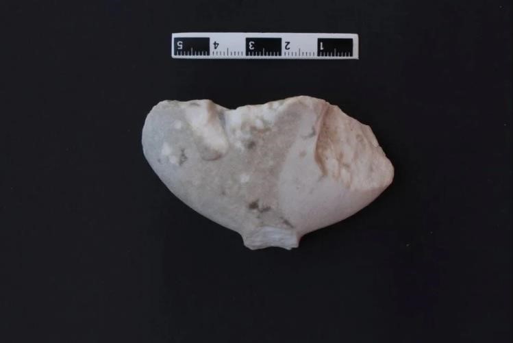 Bu ‘Kilya’ tipi figür tüm tarihi değiştirecek