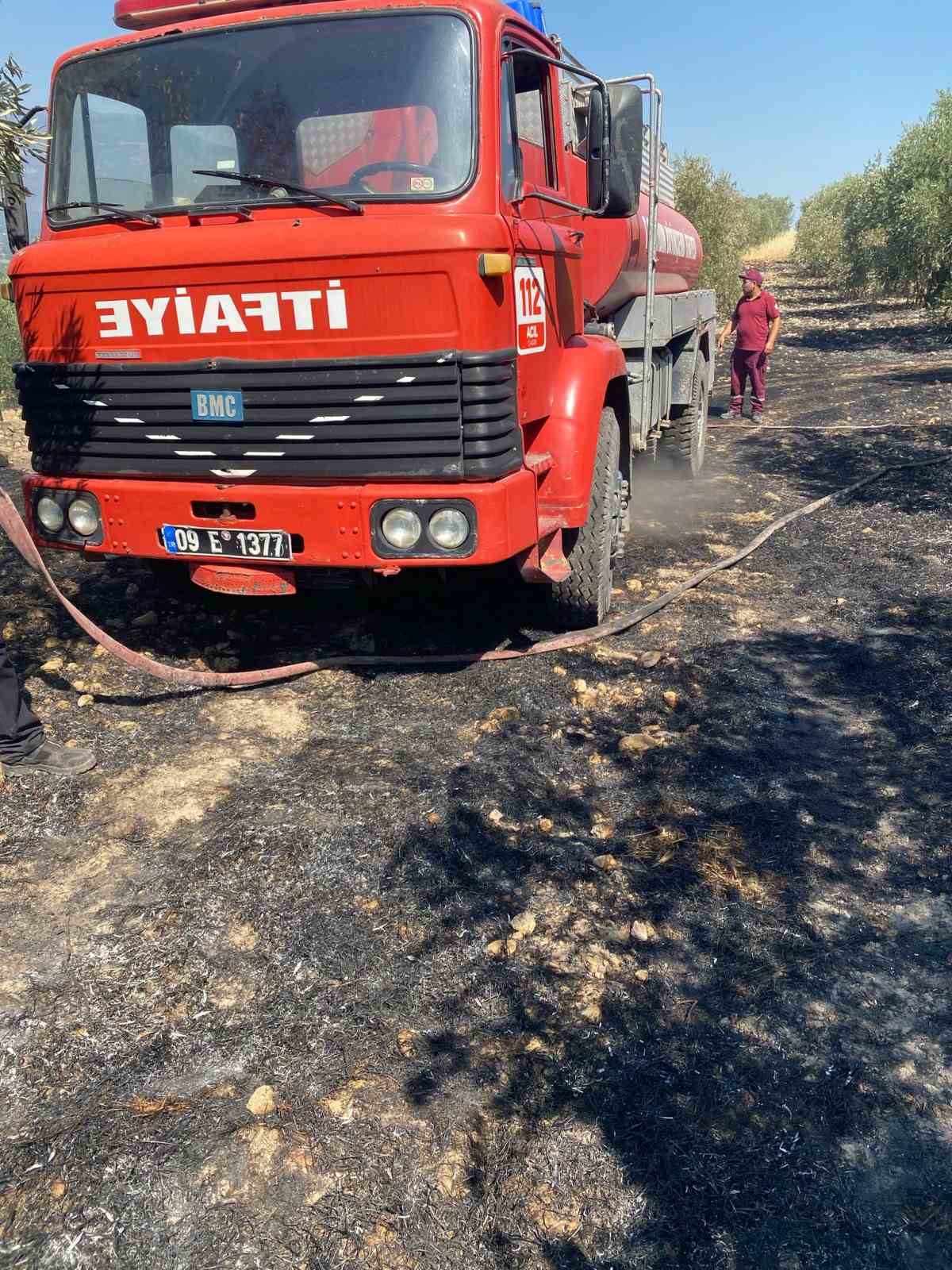 Zeytinlikte &ccedil;ıkan yangın hızlı m&uuml;dahale ile s&ouml;nd&uuml;r&uuml;ld&uuml;
