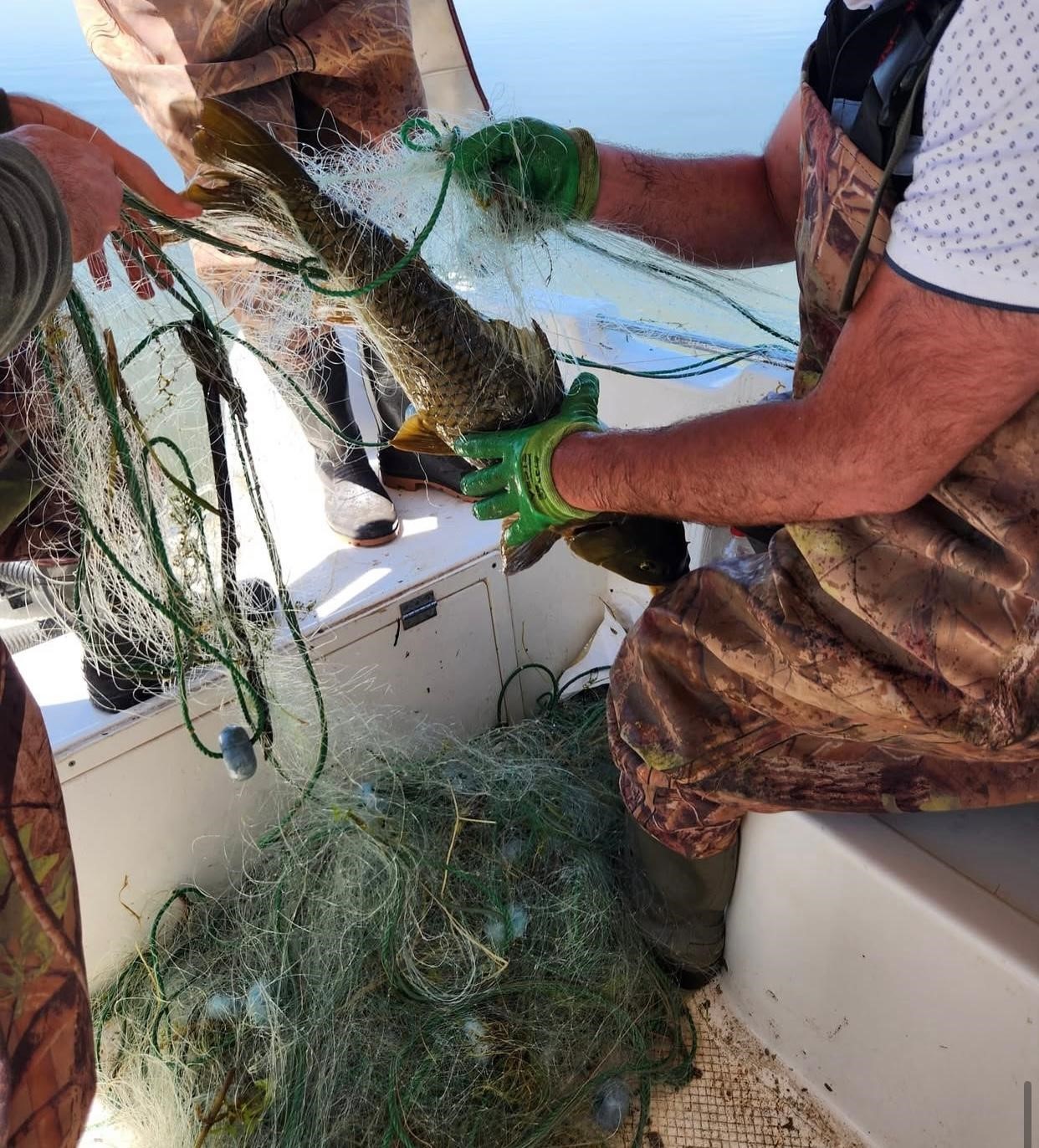 Elazığ’da su ürünleri av yasağı sona erdi, 136 kişiye 1 milyon lira ceza kesildi