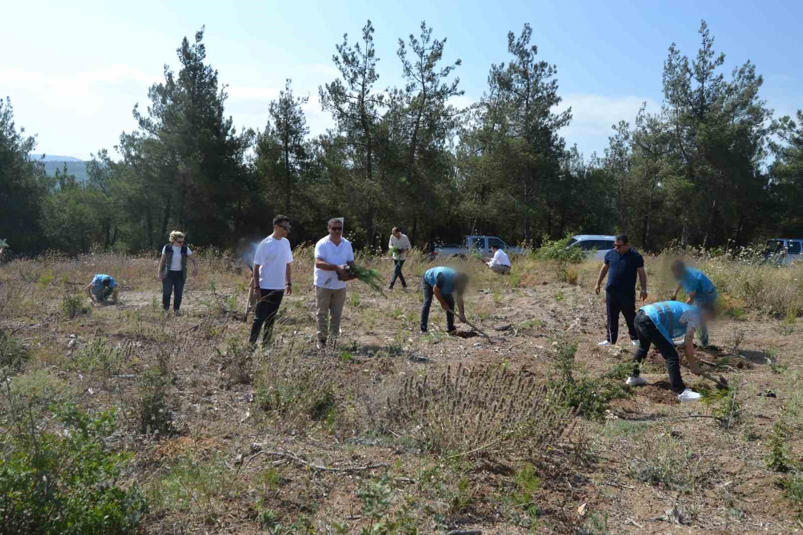 Hükümlüler, 15 Temmuz Şehitleri anısına fidanları toprakla buluşturdu